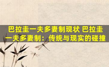 巴拉圭一夫多妻制现状 巴拉圭一夫多妻制：传统与现实的碰撞